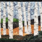 Birch-trees-45