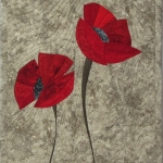 Two Red Poppies on grey