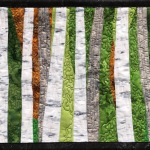 Birch-Trees-44-in-Summer