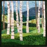 Birch-Trees16-in-spring