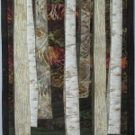 Birch in Deep Woods 2