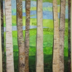 Birch Trees in Spring