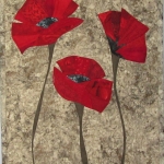 Three red poppies on grey 2017