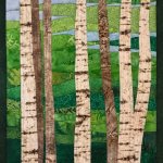 Birch Trees 13 in Summer