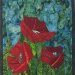 Three Red Poppies