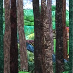 Trees-51