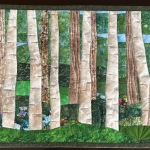 Birch-Trees-22